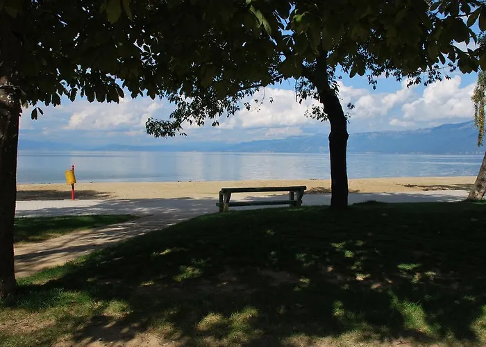 公寓 愉悦公寓 *